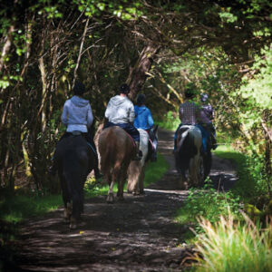 Slieve Aughty Centre