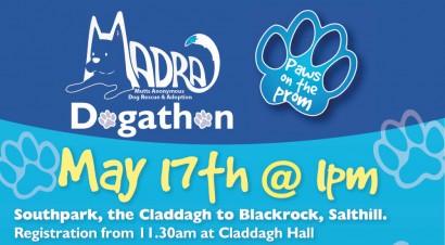 Madra Dogathon in Galway