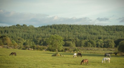 Weekend in the Hills at the Slieve Aughty Centre