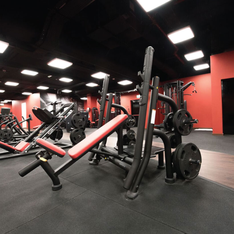 15 Minute Does Snap Fitness Have Free Weights for Build Muscle