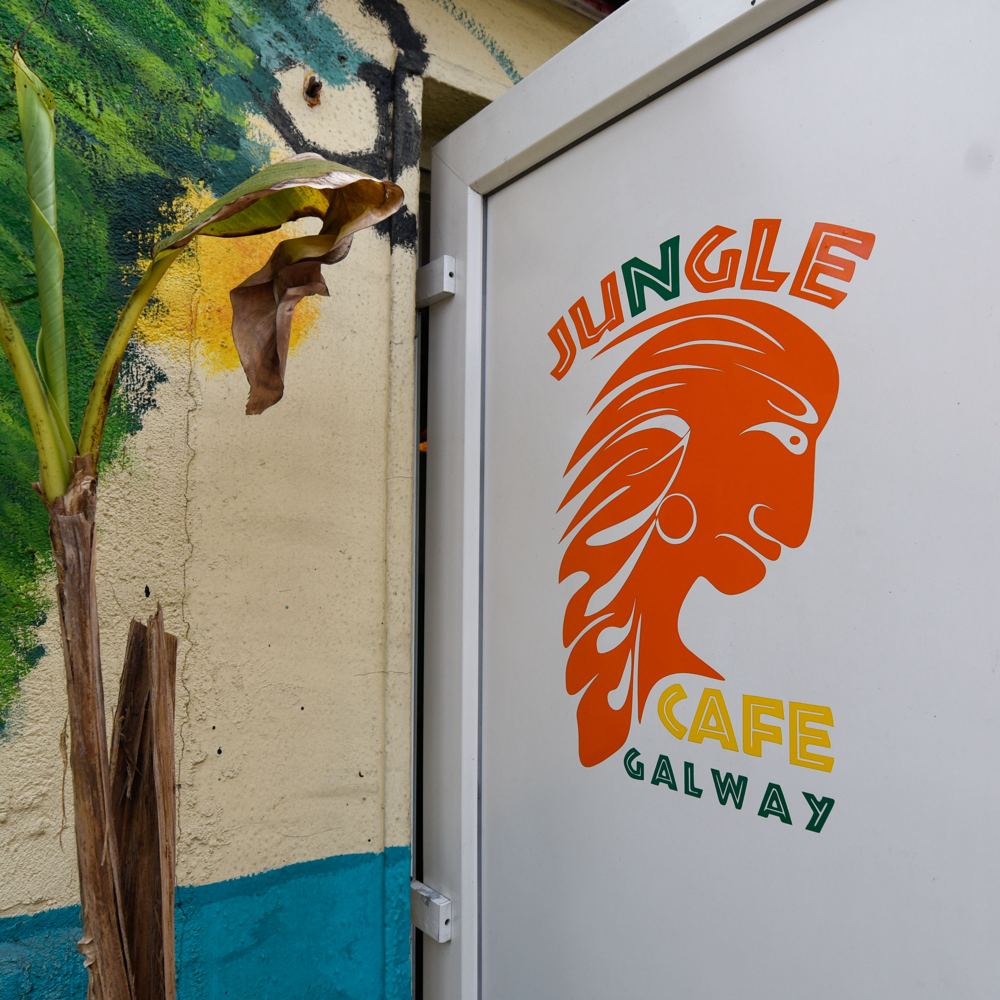 Jungle-Cafe-7.jpg