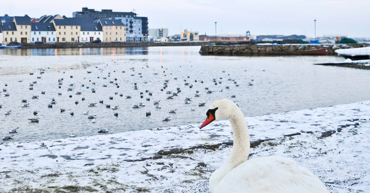 The Best Ways to Spend a Winter in Galway