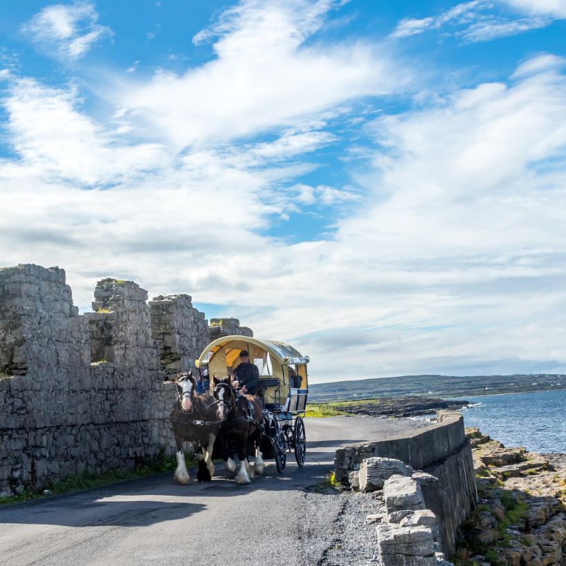 brewery tours galway ireland