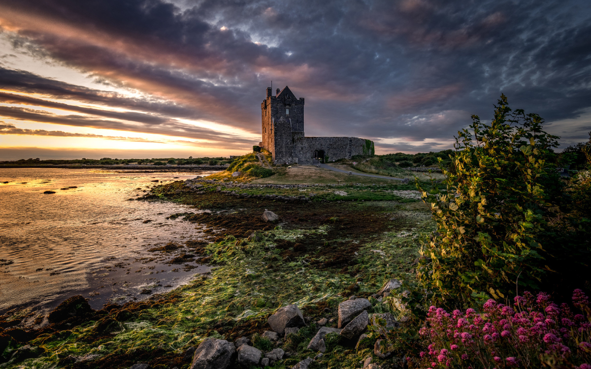 History of Dunguaire Castle Galway