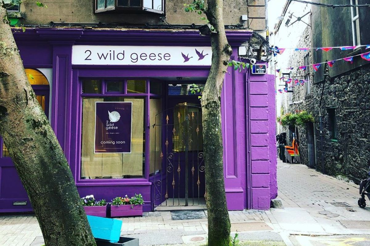2 wild geese store