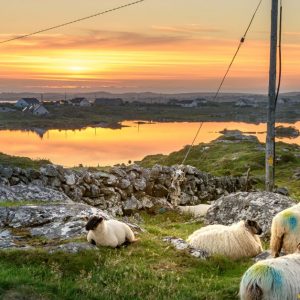 Experience Galway's Great Outdoors