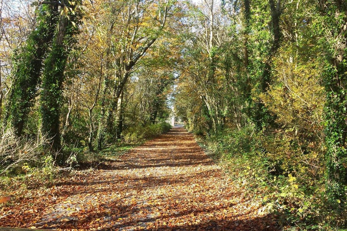 Cregg Castle Orchard