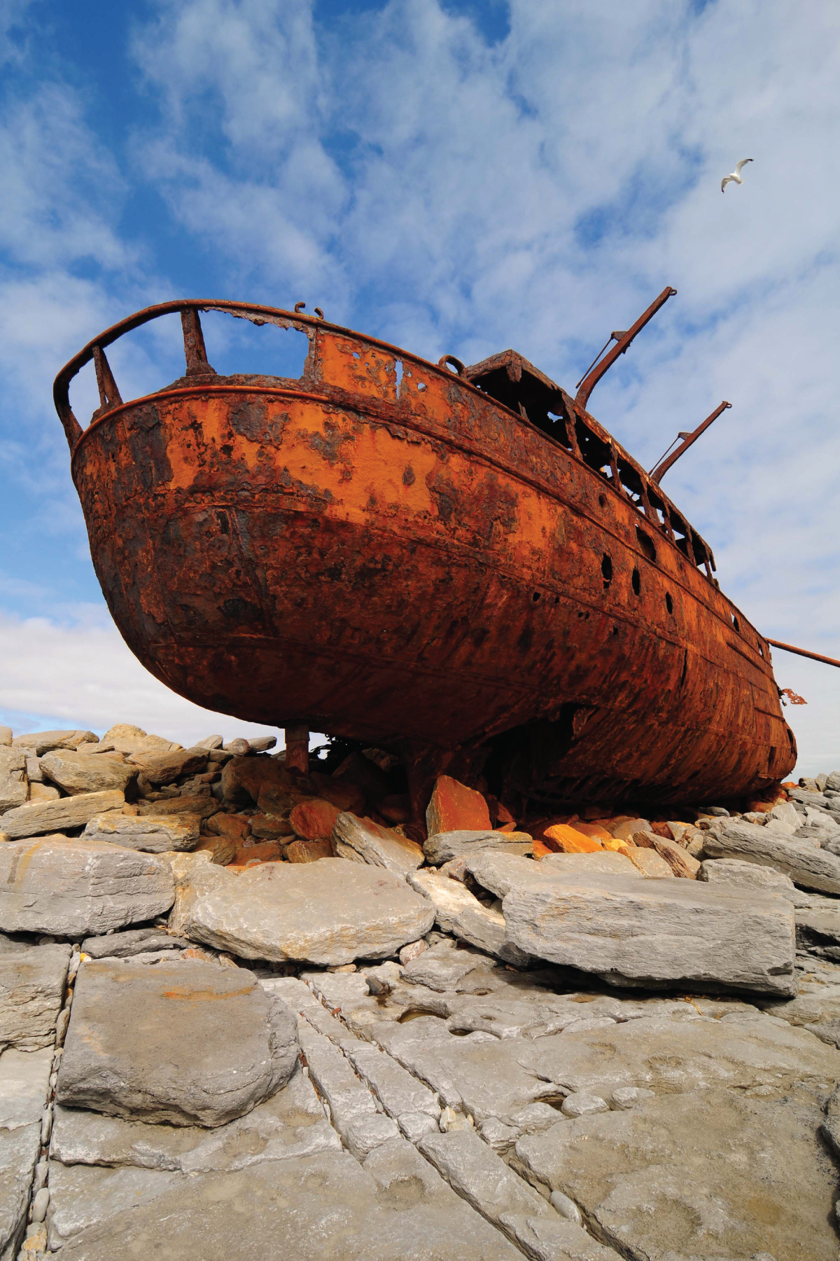 Plassey Wreck