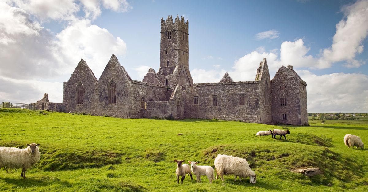 The History of Ross Errilly Friary - This is Galway