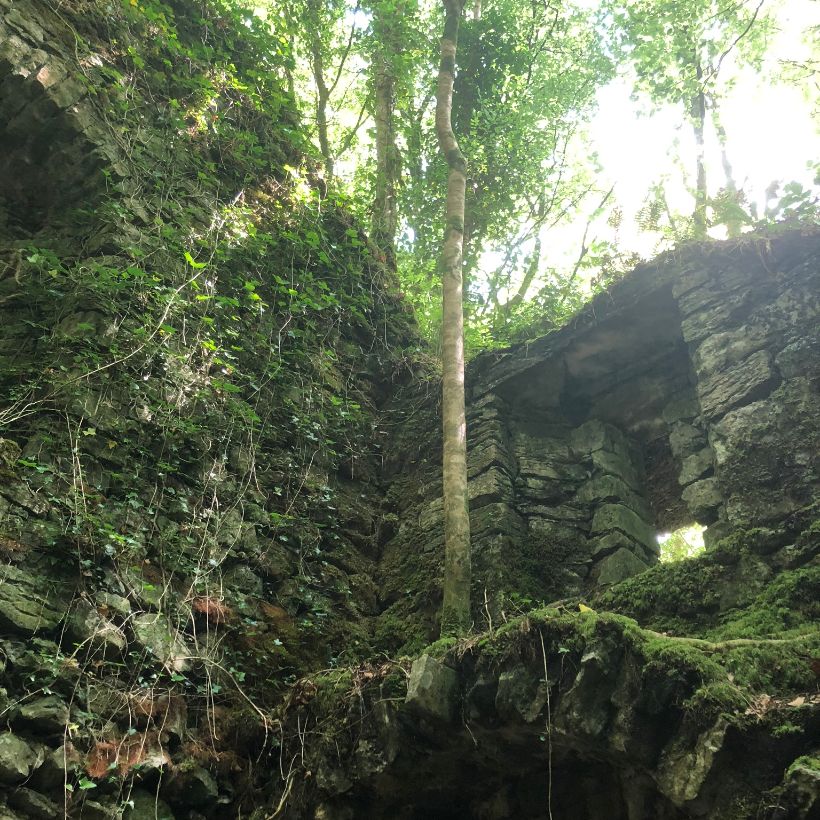 Ballykine Castle