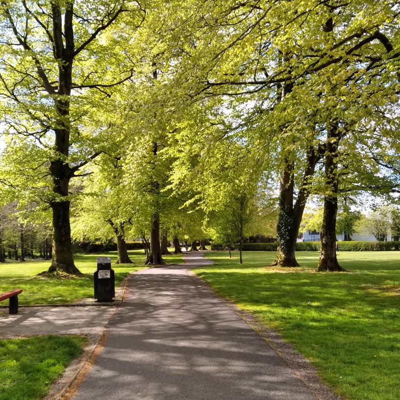 Palace Grounds Tuam 1 This Is Galway