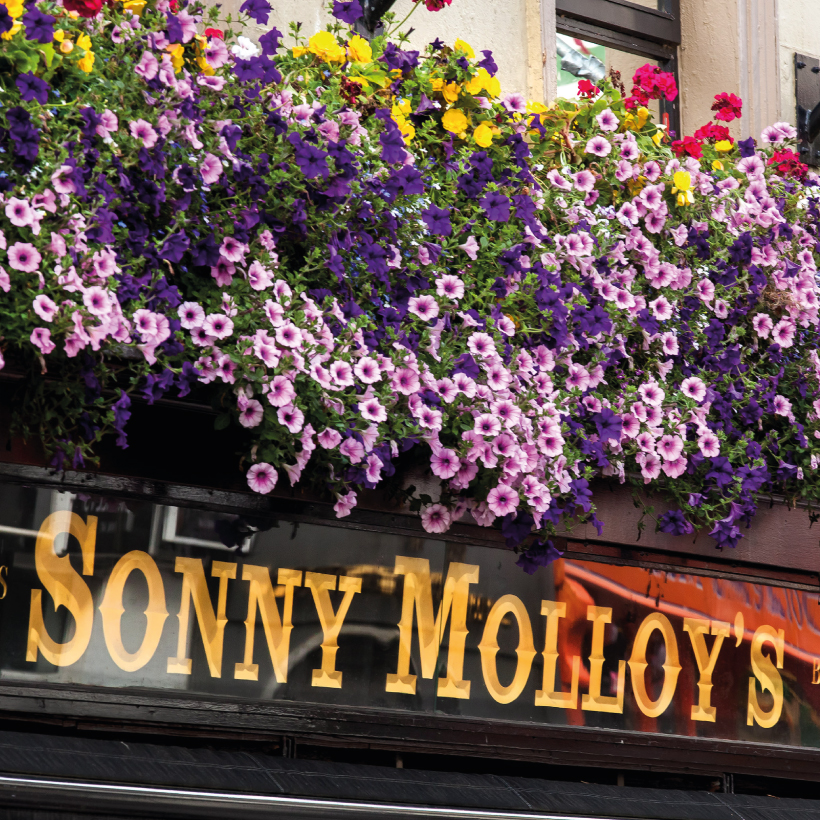 Sonny-Molloys-3.jpg