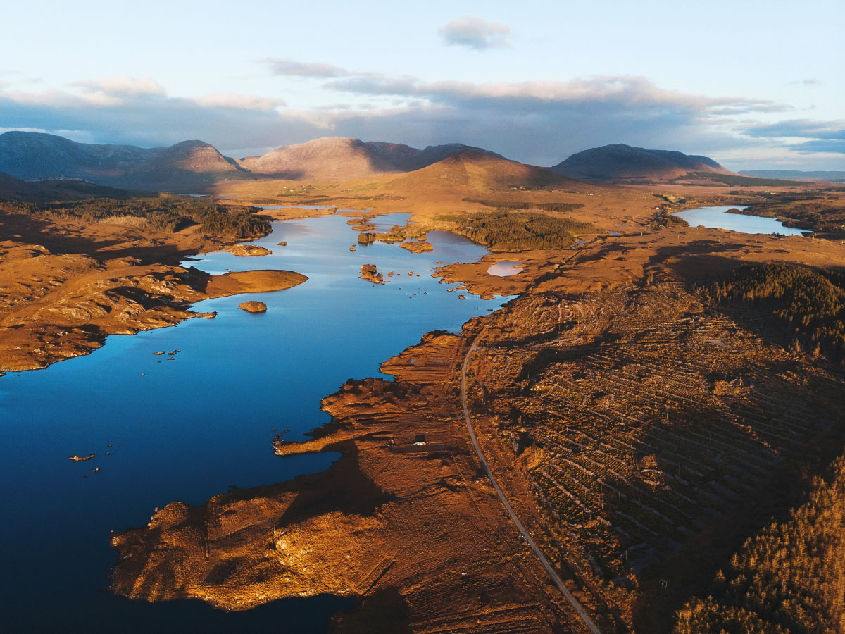 Connemara Marble