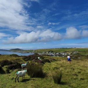 Escape to Clifden & Inishbofin