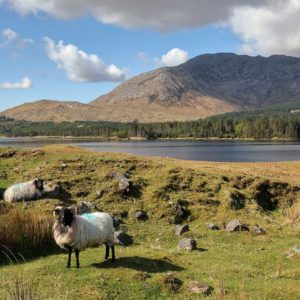 An Insider’s Guide to Letterfrack & North Connemara