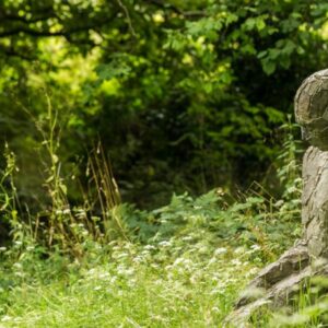 Take care your Health and Wellbeing in Galway in 2025