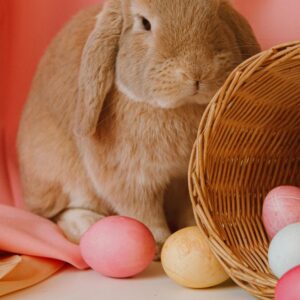 Easter 2026: Your Guide to the Easter Bank Holiday Weekend in Galway