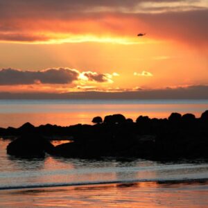 Free Events in Galway