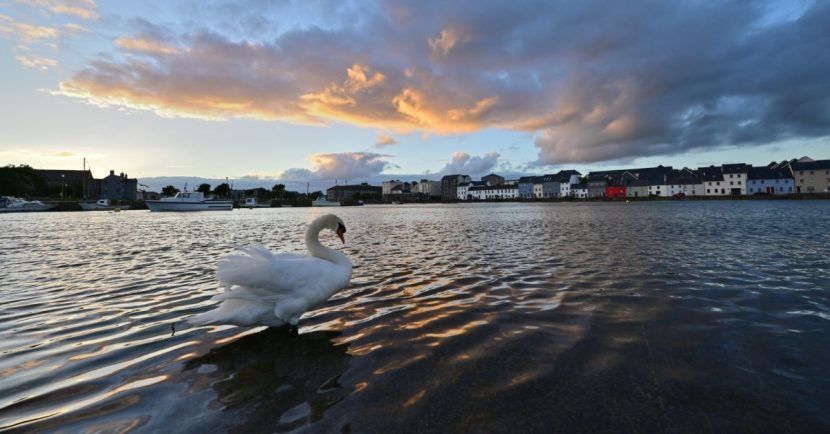 All Events This Is Galway   Photo By Chaosheng Zhang 830x434 