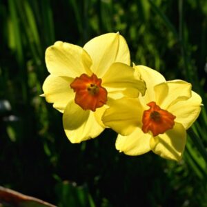 What To Do In Galway This Weekend