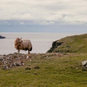 5 Things to Do this Summer in Galway