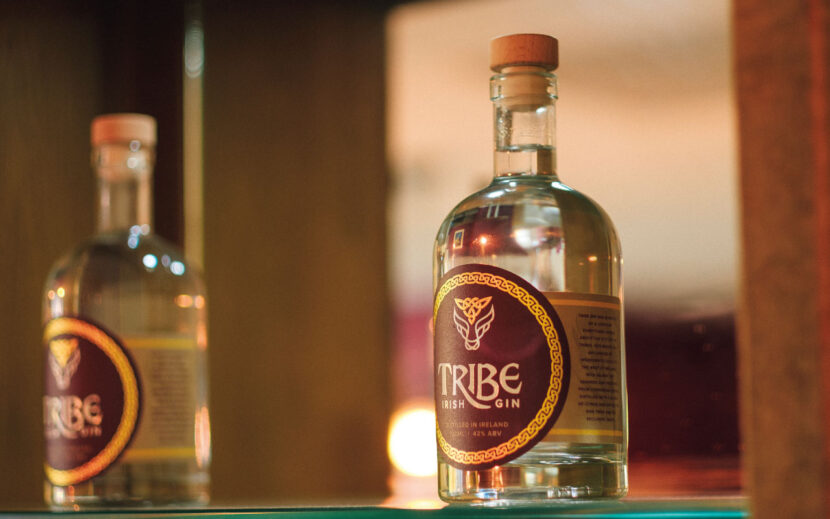 Tribe-Gin-School-Galway-Feature-Image