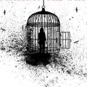 A.M. Shine's Stay in The Light Book Launch at Charlie Byrne's Bookshop