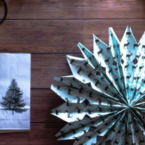 Aviary Crafts with Crafty Clarence at The Connacht Hotel