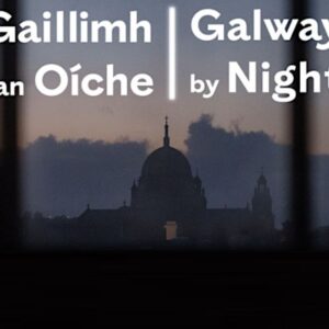 Night Out Access In: Disability Awareness Training for the Galway Night-Time Economy Businesses