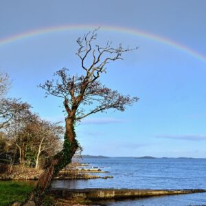 Beat the January Blues in Galway