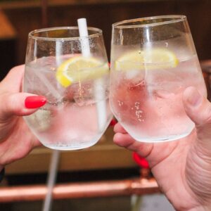 Sip, Savor & Distill Workshop with Tribe Gin at The Connacht Hotel