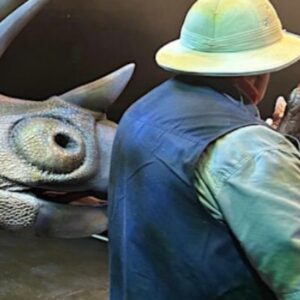 Dinosaur Show Live at the Town Hall Theatre