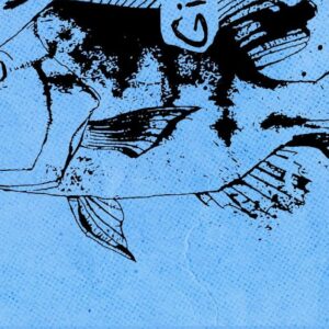 Galway International Arts Festival & Róisín Dubh presents Shark School