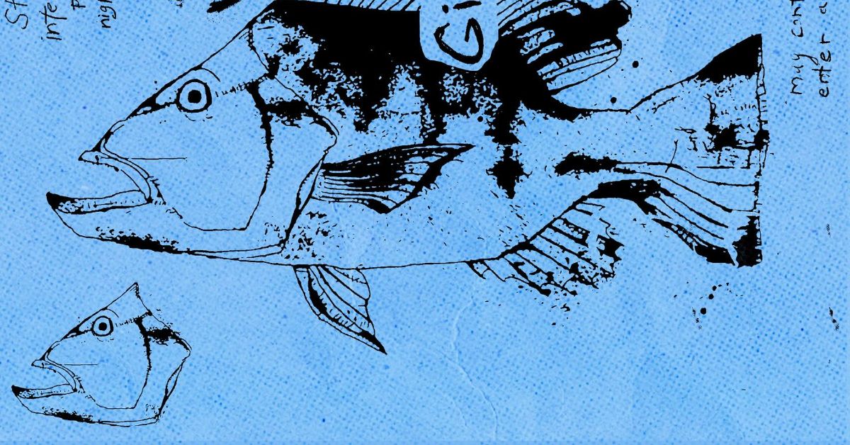 shark-school-1.jpg