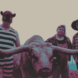Steve 'n' Seagulls at Róisín Dubh
