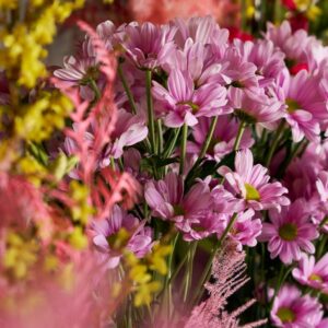 Bloom & Bubbles: Flower Arranging & Bubbles at the g Hotel