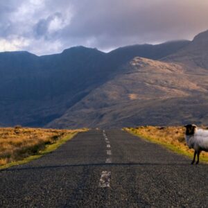 Why Ireland West Airport is the Best Starting Point for Your West of Ireland Adventure