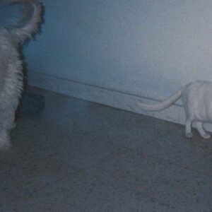 TULCA 2025 | Galway Arts Centre