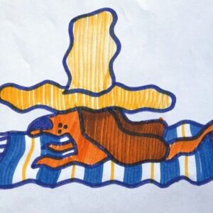 Gruff Rhys at Róisín Dubh