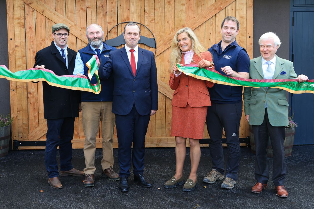 Connemara Pony Heritage