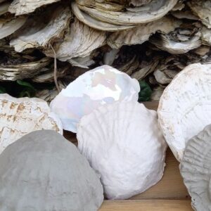 Thursday Lates at Galway Arts Centre: Talk & Workshop