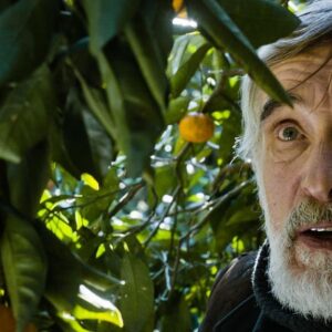 Subtitle Film Festival returns to Galway this January!