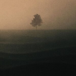 Vincent Lima at Róisín Dubh