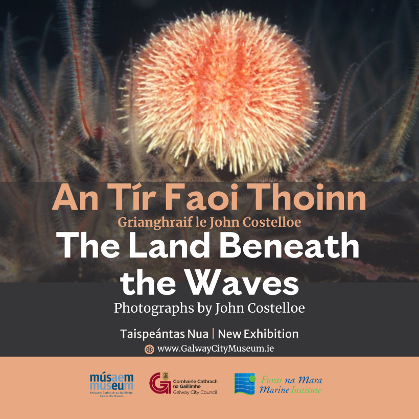 Galway City Museum New Exhibition