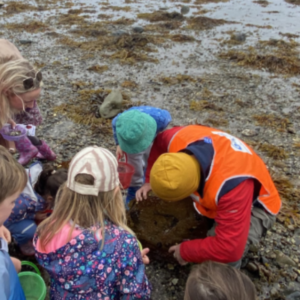 Beach Event: Explore Your Shores - Free Beach Activity