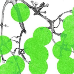 Wine & Design 2026: Opening Night at Outset Gallery