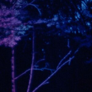 Gallery Lates: Talk by Dr Noreen Giffney