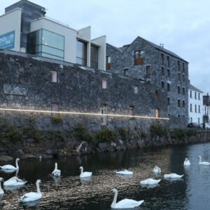 Museum Lates: Lúan and ‘Letters to Ireland’
