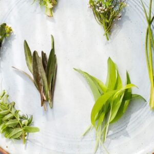 Wild Irish Food (Preserving, Fermenting and Foraging) at Aniar - Fully booked