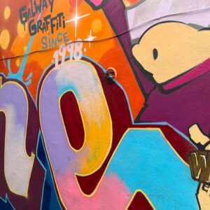 Galway Artists transform Pump Lane back the West